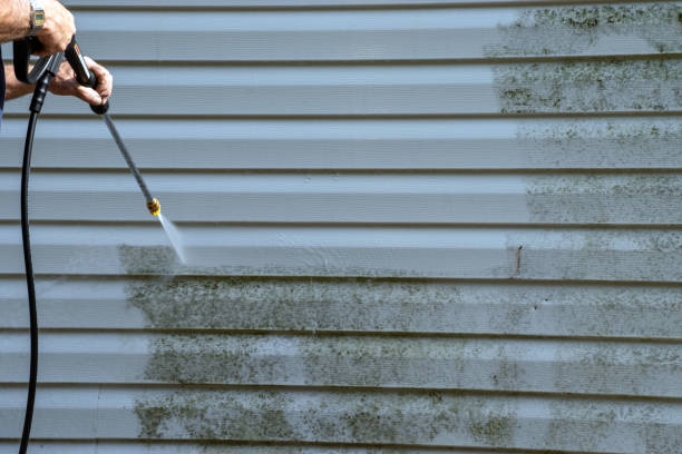 Best Property Management Cleanouts  in Adel, GA